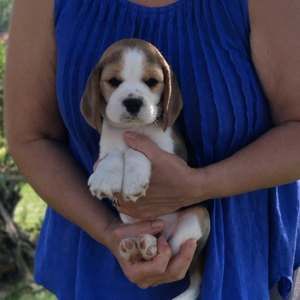 Meet your Posher, Edy